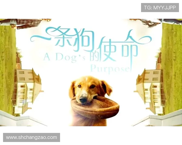 你敢信？狗狗竟有1000年的寿命！《一条狗的使命》奇幻剧情解析